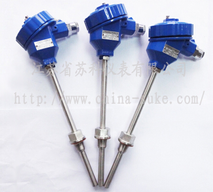 防爆型熱電阻